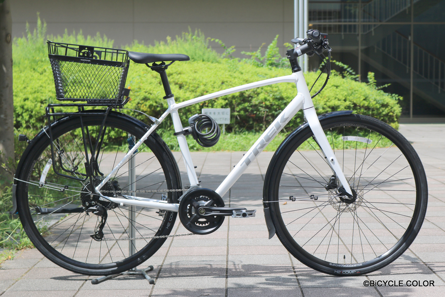 改造ブルホーンハンドル TREK Cross bike - クロスバイク